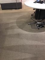 Trees Carpet Cleaning image 9